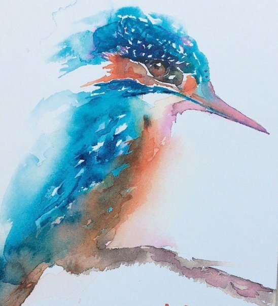 Зимородок - зимородок - оригинал