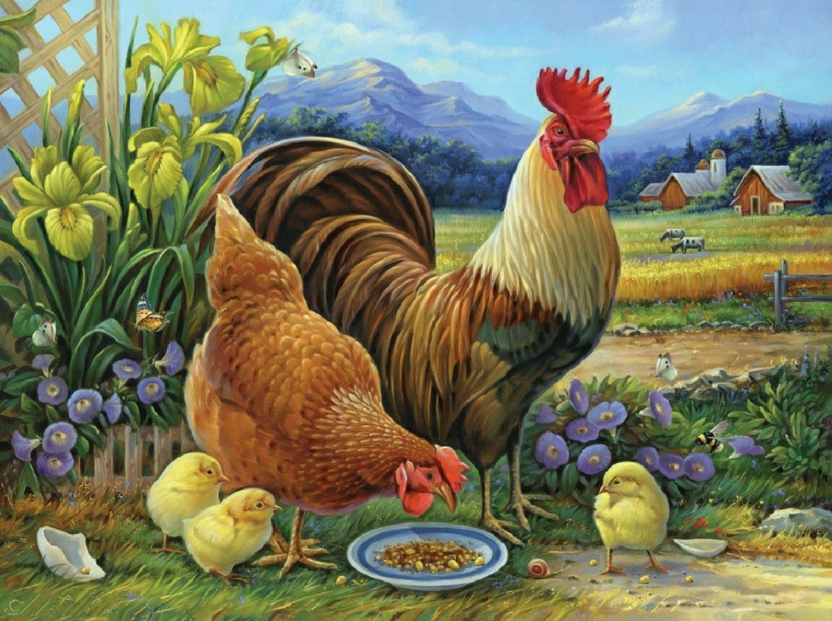 петух, курица, цыплята, природа, цветы - петух, цыплята, курица, природа, цветы - оригинал