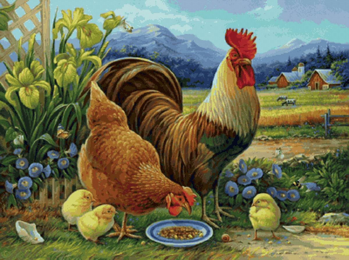петух, курица, цыплята, природа, цветы - петух, природа, курица, цыплята, цветы - предпросмотр