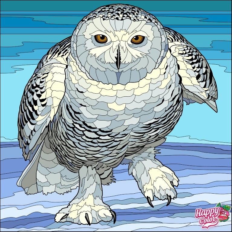 Cова - сова - оригинал