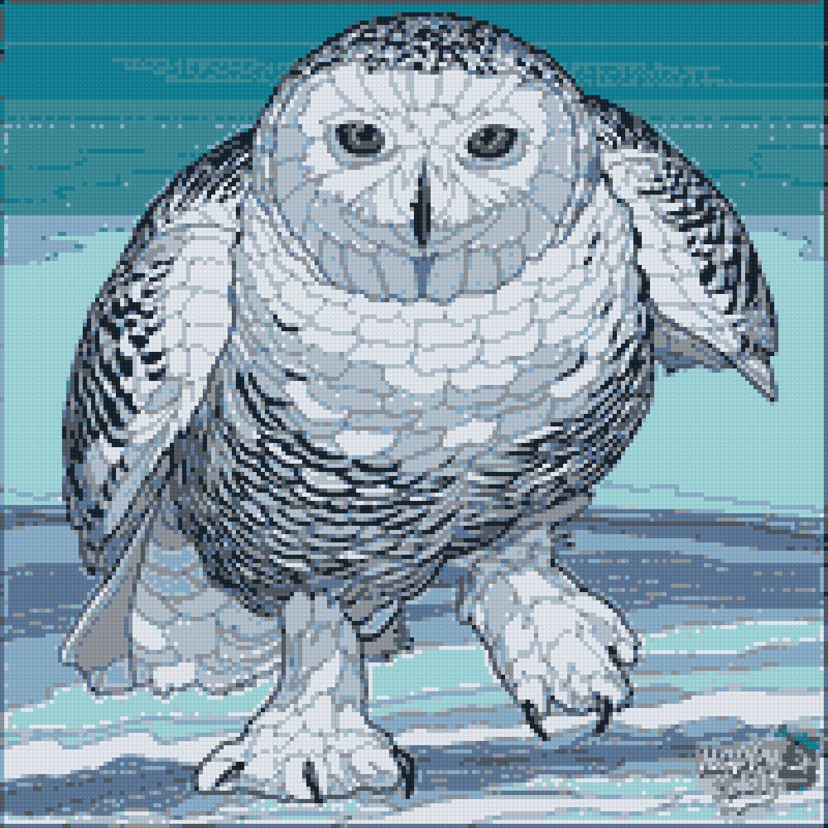 Cова - сова - предпросмотр