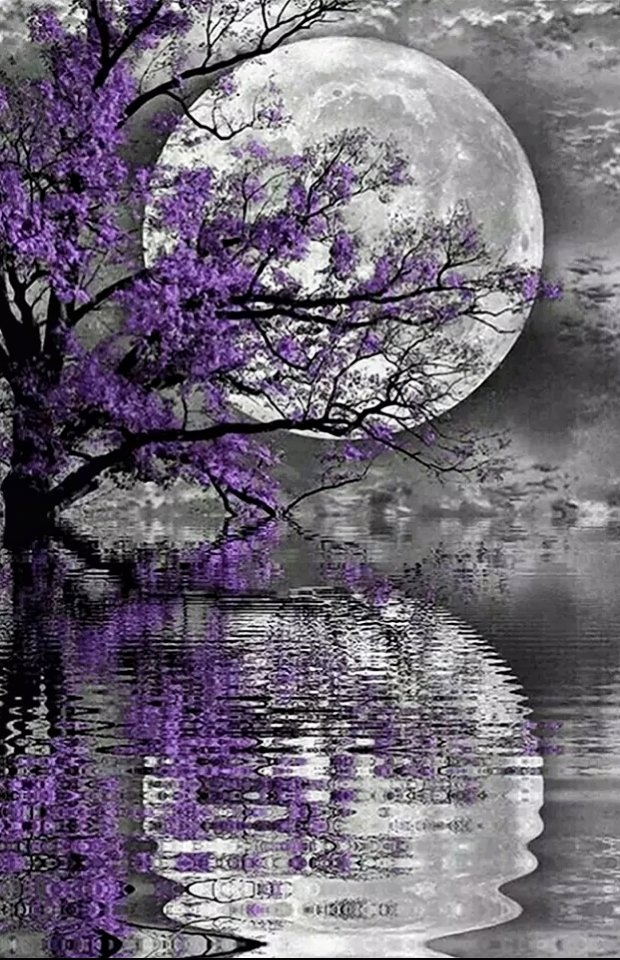 Полнолуние - полнолуние - оригинал