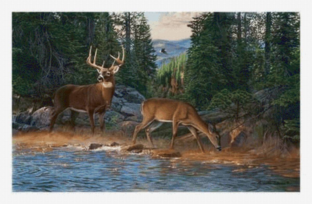 №2506212 - предпросмотр