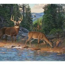 Схема вышивки «№2506212»