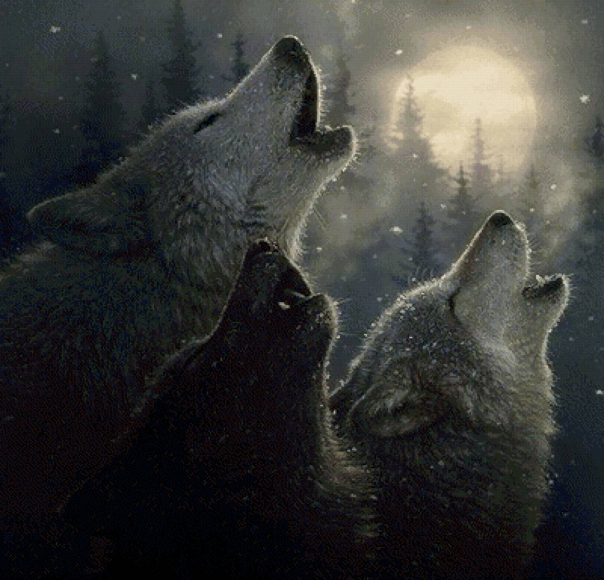 Вой - волки, волк, животные - предпросмотр