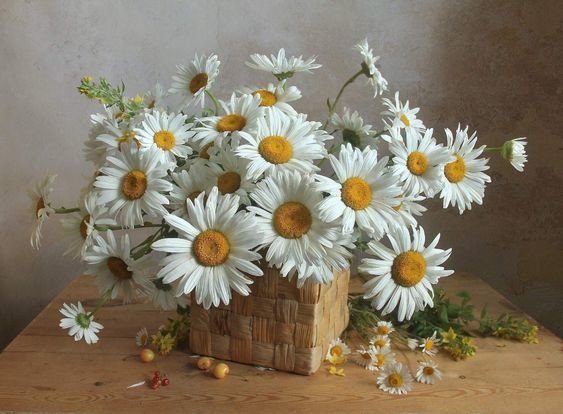 №2506460 - оригинал