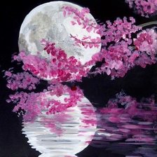 Схема вышивки «moon»