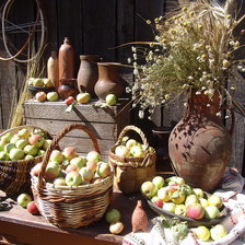 Схема вышивки «Яблочный спас»