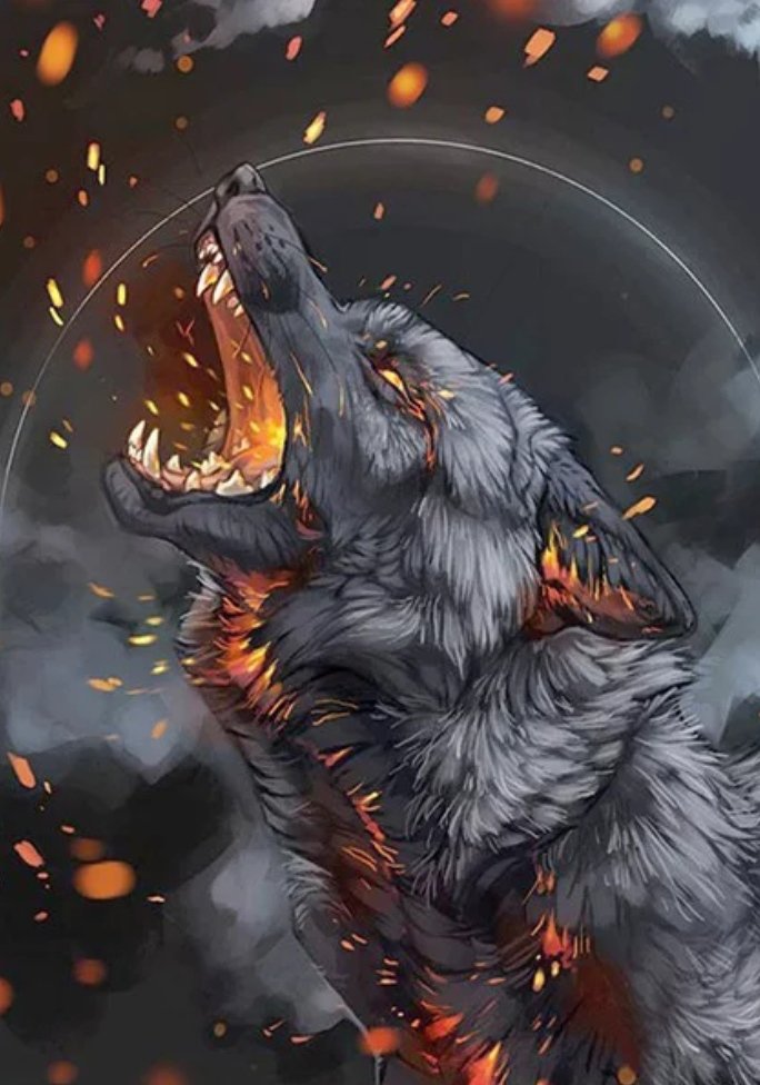 Волк - черный, животные, волк - оригинал