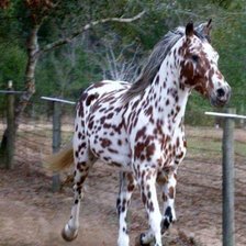 Схема вышивки «№2507146»