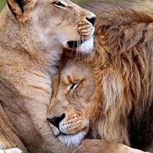 Схема вышивки «№2507176»