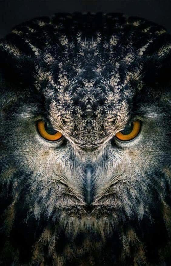 №2507194 - оригинал