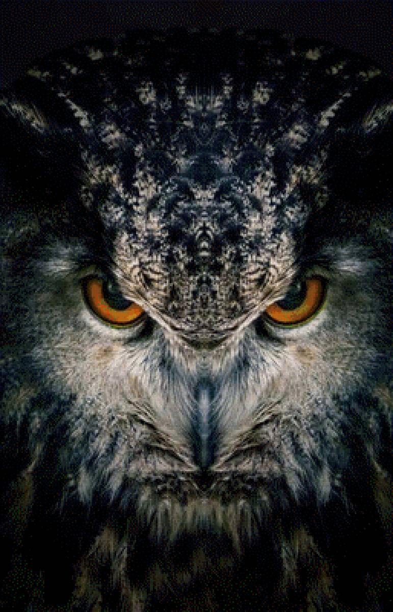 №2507194 - предпросмотр