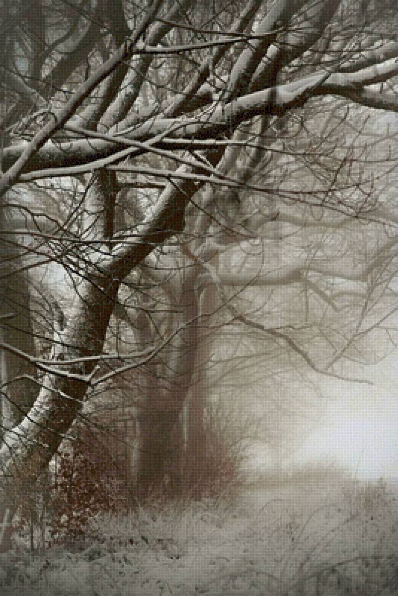 №2507318 - предпросмотр