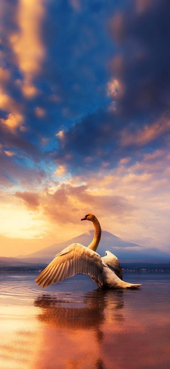 colores - paisaje - оригинал