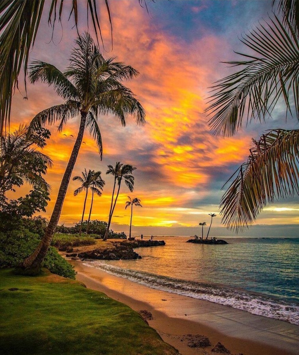 costa - paisaje - оригинал