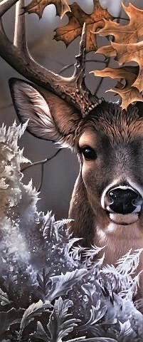 Олень - олени, природа, животные - оригинал