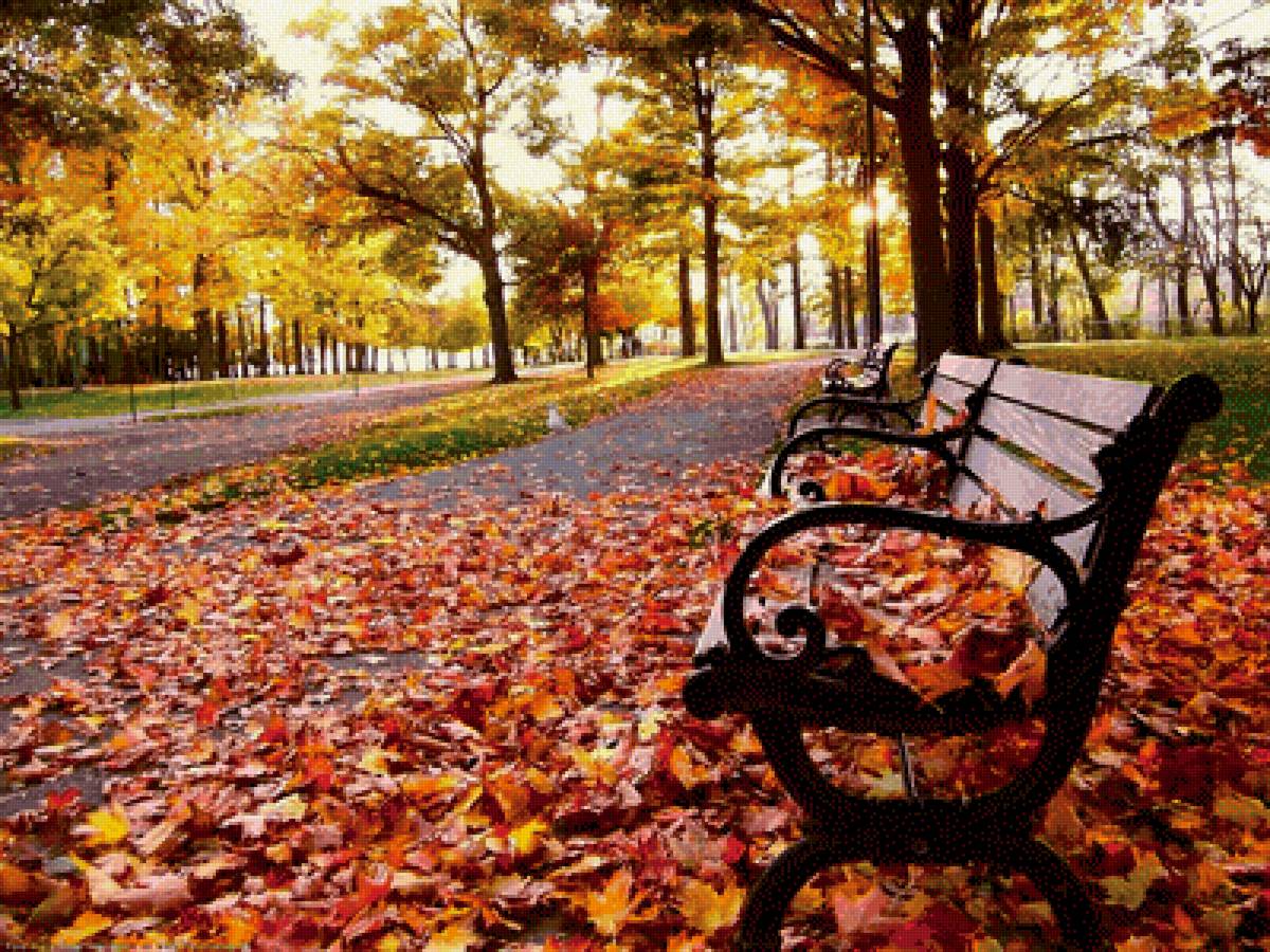 Осенний парк - парк, листья, скамейка, осень - предпросмотр