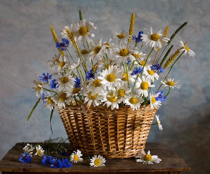Ромашки и васильки - васильки, ромашки, букет - оригинал
