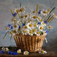 Схема вышивки «Ромашки и васильки»