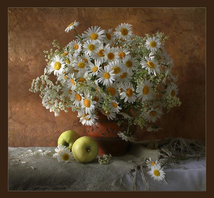 Ромашки - букет, ромашки - оригинал