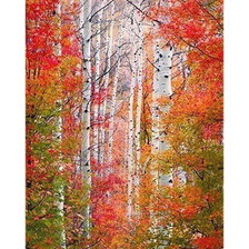 Оригинал схемы вышивки «Осенний лес» (№2507911)