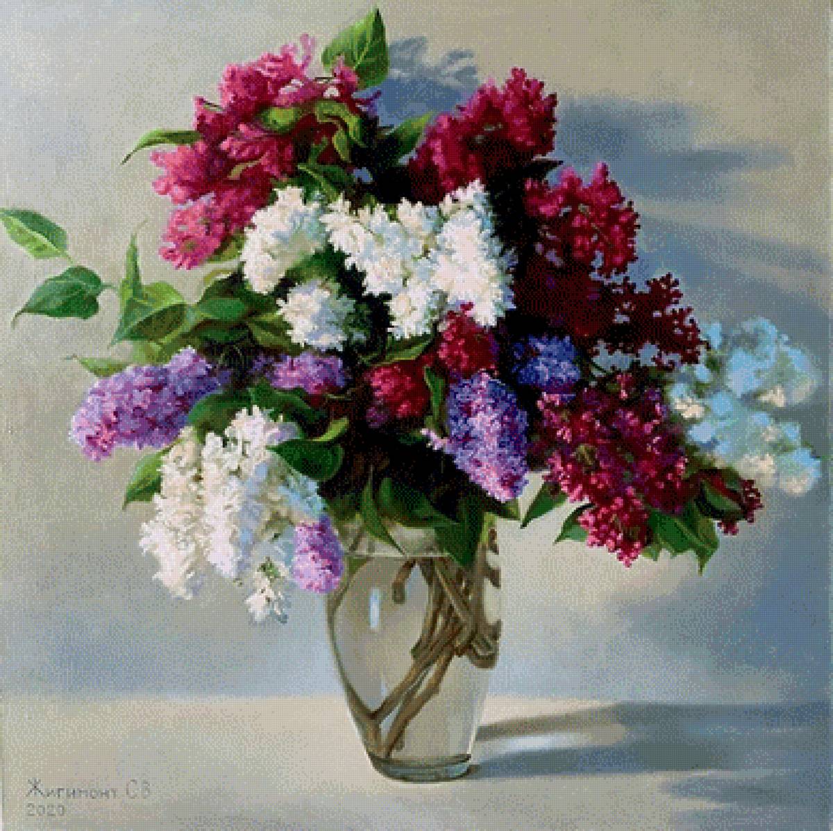 Сирень - сирень - предпросмотр