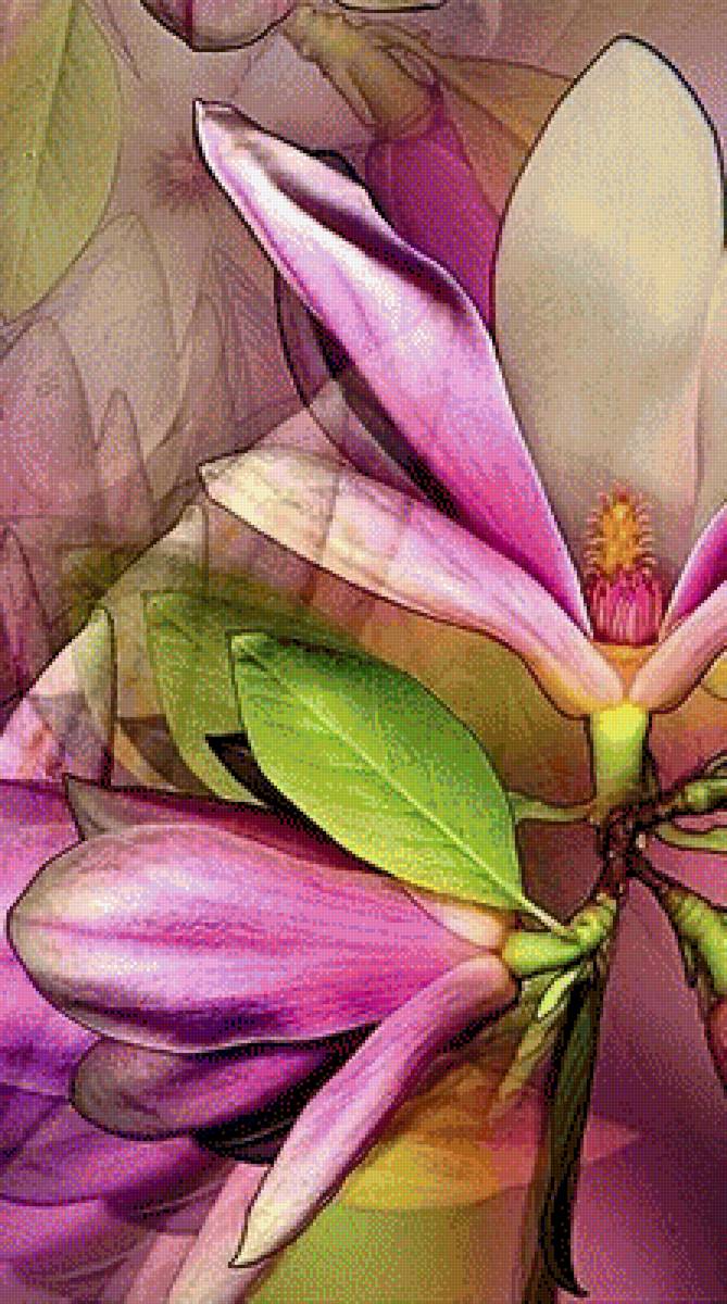 Магнолии - цветы, растения - предпросмотр