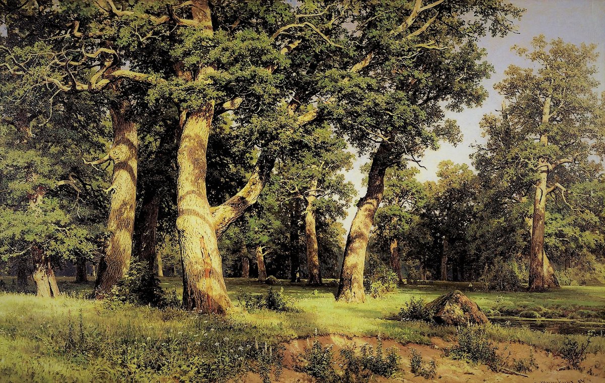 Дубрава Шишкин - дубрава шишкин - оригинал