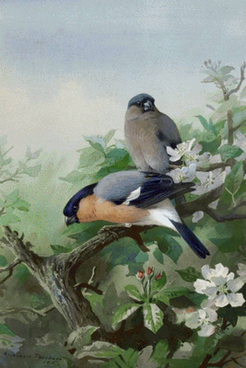 №2508439 - предпросмотр