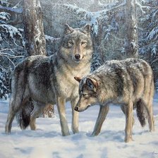 Схема вышивки «lobos»