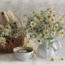 Схема вышивки «Ромашковый чай»