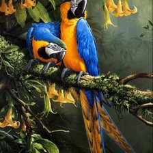 Схема вышивки «Птички»