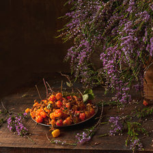 Схема вышивки «Морошка»