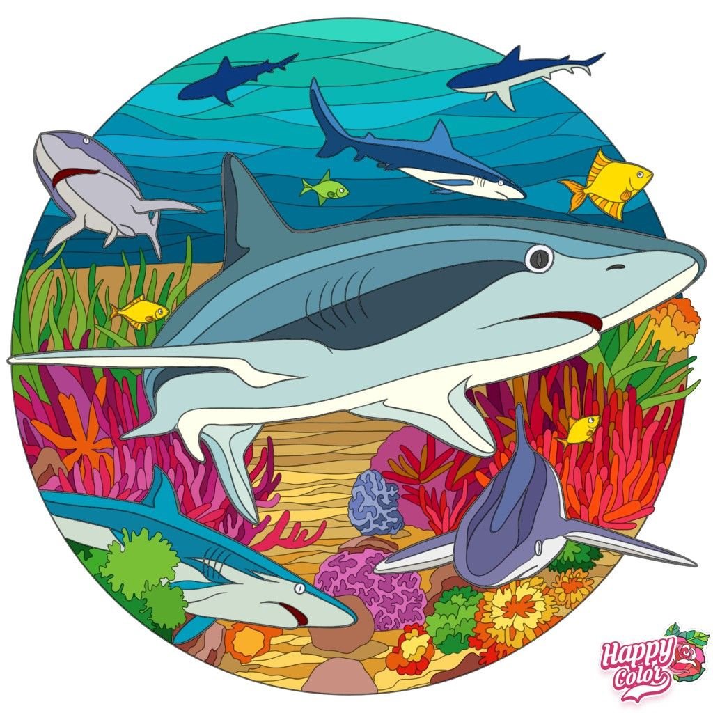 Акула - ауула - оригинал