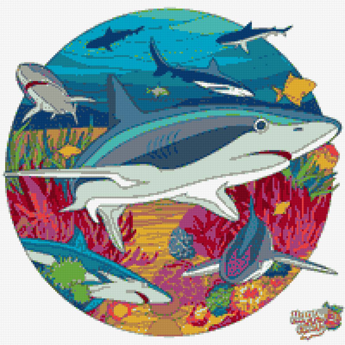 Акула - ауула - предпросмотр