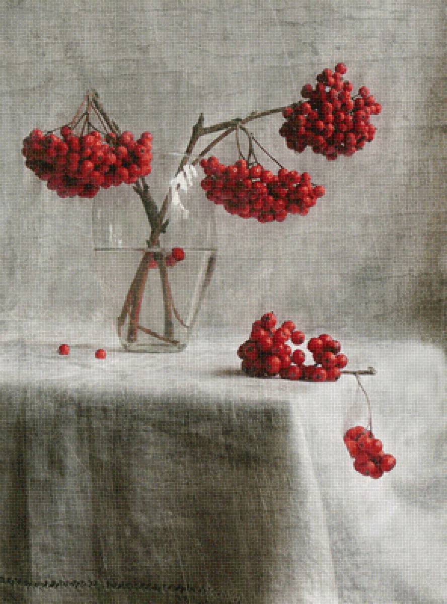 Рябина - ягоды, натюрморт, рябина - предпросмотр