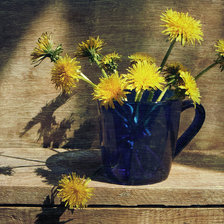 Схема вышивки «Одуванчики»