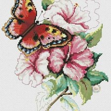 Схема вышивки «№2510511»