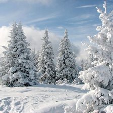 Схема вышивки «№2510575»