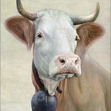 Схема вышивки «№2510586»