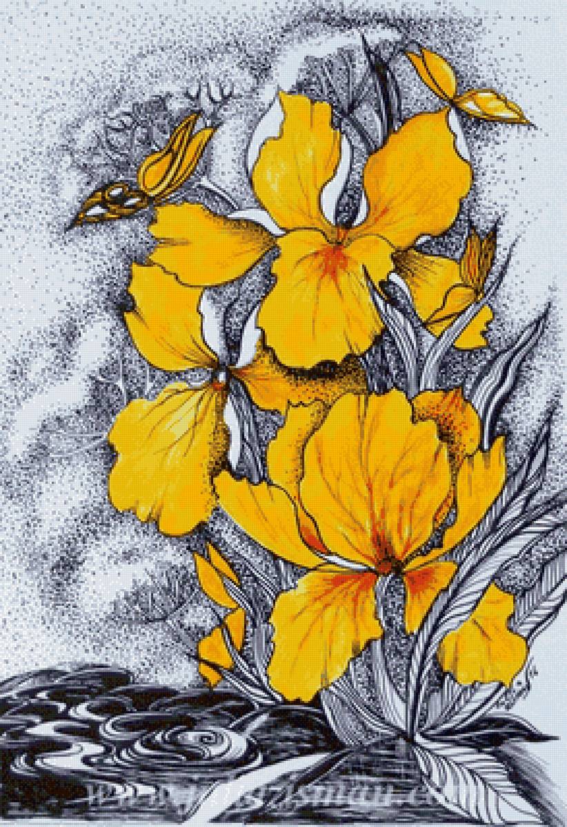 желтые ирисы. - цветы, ирисы, желтый - предпросмотр