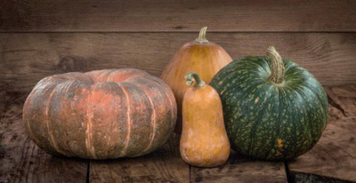 Тыквы - тыква, натюрморт, кухня - предпросмотр