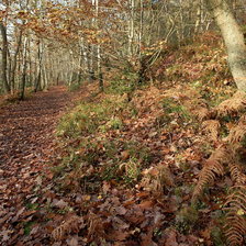 Схема вышивки «Осень»