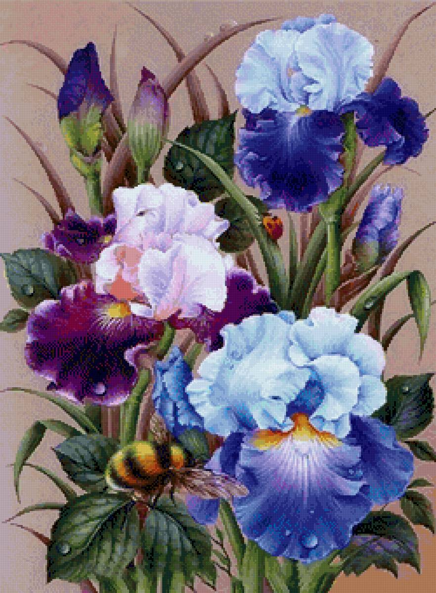 Шмель - предпросмотр