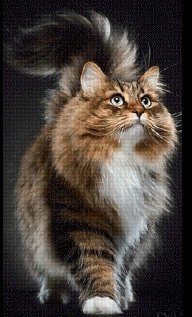 Красавчик кот---2 - красавчик 🙀 - 2 - предпросмотр