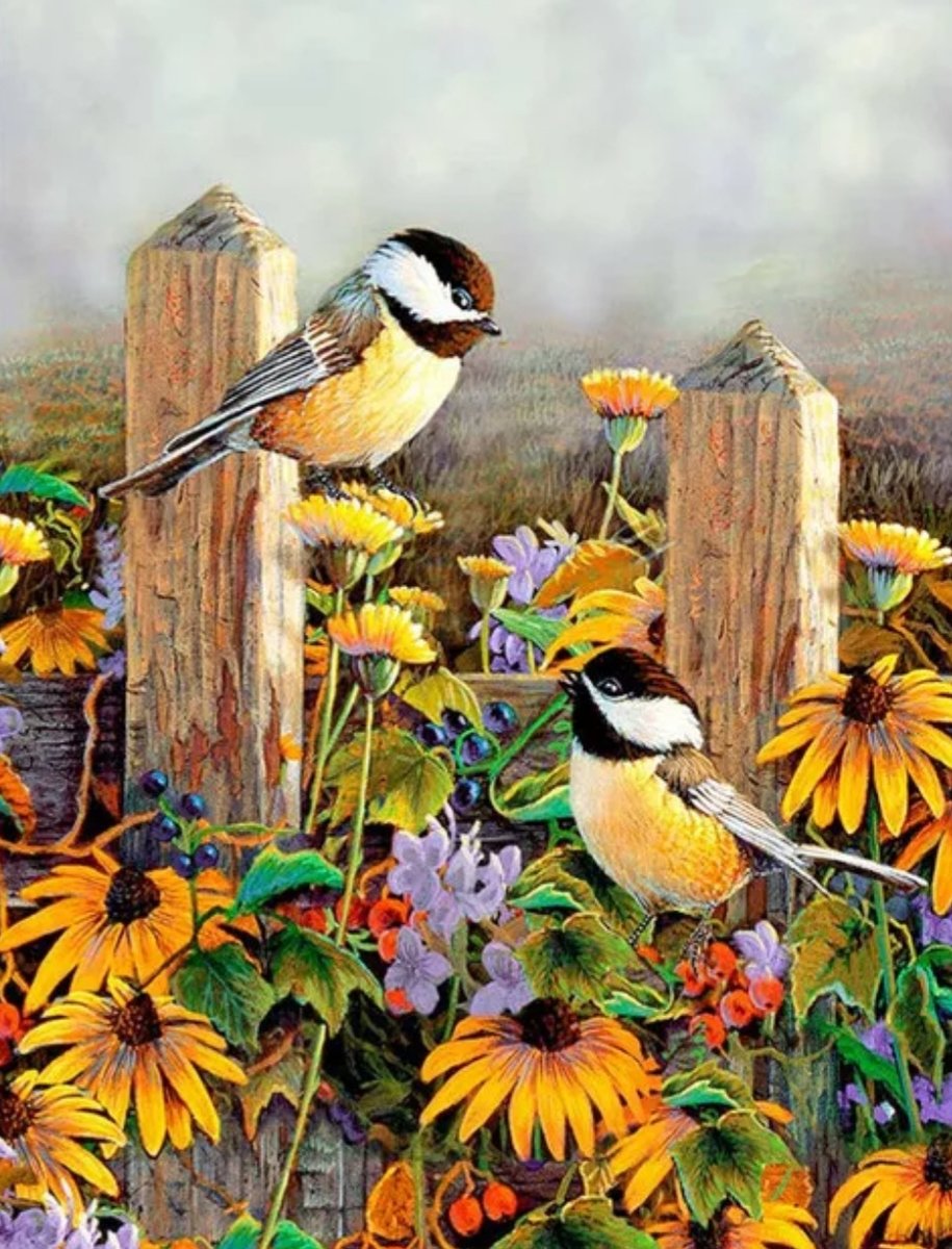 Птицы - птицы - оригинал