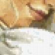 Предпросмотр схемы вышивки «Пара» (№2512413)
