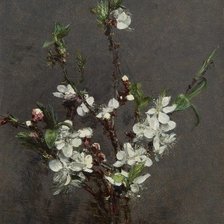 Схема вышивки «Цветы»