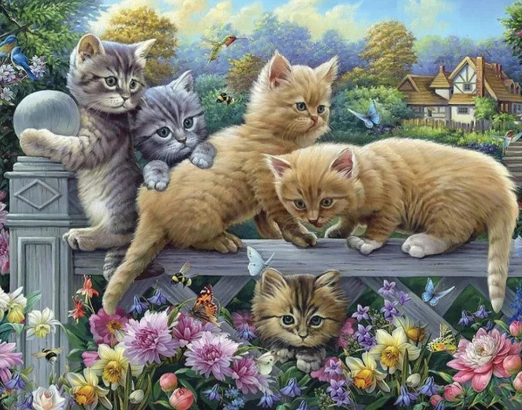 Семейство кошачих - животные - оригинал